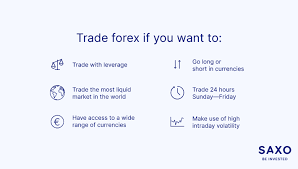 Mini Forex Trading: What You Need To Know