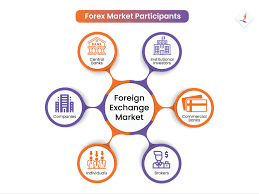 Nature of the Foreign Exchange Market